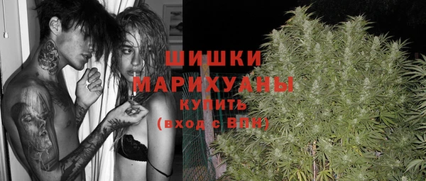 не бодяженный Белокуриха