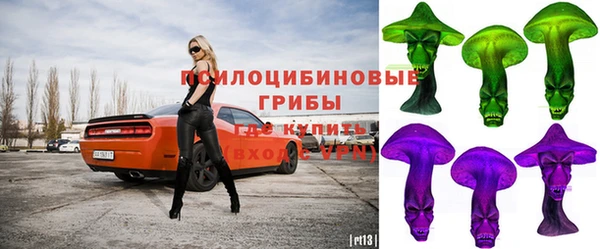 не бодяженный Белокуриха