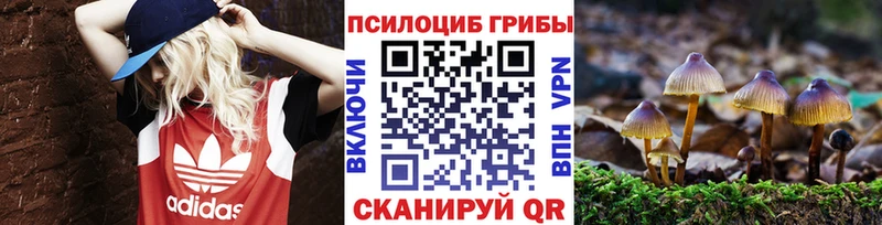 Псилоцибиновые грибы Psilocybine cubensis  купить  сайты  Окуловка 